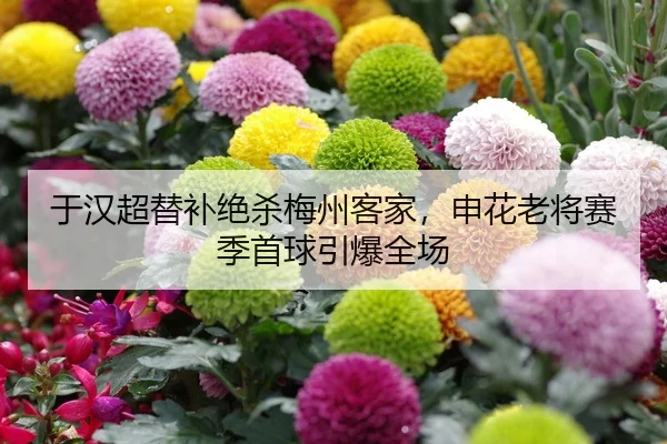 yu-han-chao-ti-bu-jue-sha-mei-zhou-ke-jia-shen-hua-lao-jiang-sai-ji-shou-qiu-yin-bao-quan-chang-2-207.jpg