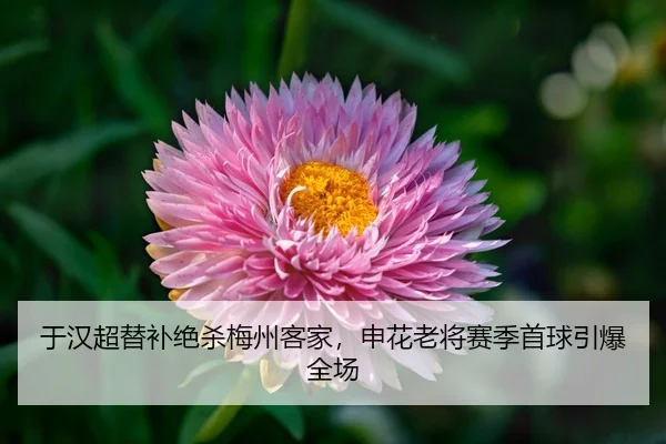 yu-han-chao-ti-bu-jue-sha-mei-zhou-ke-jia-shen-hua-lao-jiang-sai-ji-shou-qiu-yin-bao-quan-chang-3-586.jpg
