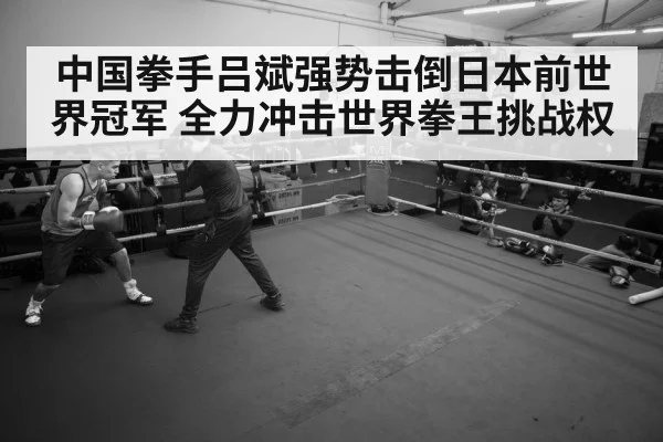 boxer training gym